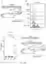 Fig. 27 - HYPOXIA-RESPONSIVE CHIMERIC ANTIGEN RECEPTORS