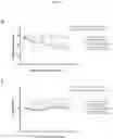 Fig. 15 - Compositions and methods for internalizing enzymes