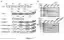 Fig. 02 - DAF-MCP CHIMERIC PROTEINS, PROCESS TO MANUFACTURE THE SAME AND USE OF THE CHIMERIC PROTEIN FOR TREATING PATHOLOGICAL CONDITIONS INVOLVING THE COMPLEMENT SYSTEM