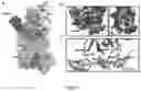Fig. 06 - DAF-MCP CHIMERIC PROTEINS, PROCESS TO MANUFACTURE THE SAME AND USE OF THE CHIMERIC PROTEIN FOR TREATING PATHOLOGICAL CONDITIONS INVOLVING THE COMPLEMENT SYSTEM