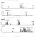 Fig. 08 - DAF-MCP CHIMERIC PROTEINS, PROCESS TO MANUFACTURE THE SAME AND USE OF THE CHIMERIC PROTEIN FOR TREATING PATHOLOGICAL CONDITIONS INVOLVING THE COMPLEMENT SYSTEM