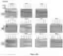 Fig. 11 - DAF-MCP CHIMERIC PROTEINS, PROCESS TO MANUFACTURE THE SAME AND USE OF THE CHIMERIC PROTEIN FOR TREATING PATHOLOGICAL CONDITIONS INVOLVING THE COMPLEMENT SYSTEM