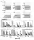 Fig. 14 - DAF-MCP CHIMERIC PROTEINS, PROCESS TO MANUFACTURE THE SAME AND USE OF THE CHIMERIC PROTEIN FOR TREATING PATHOLOGICAL CONDITIONS INVOLVING THE COMPLEMENT SYSTEM