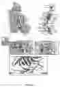 Fig. 17 - DAF-MCP CHIMERIC PROTEINS, PROCESS TO MANUFACTURE THE SAME AND USE OF THE CHIMERIC PROTEIN FOR TREATING PATHOLOGICAL CONDITIONS INVOLVING THE COMPLEMENT SYSTEM