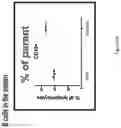 Fig. 07 - NUCLEIC ACIDS ENCODING ANCHOR MODIFIED ANTIBODIES AND USES THEREOF