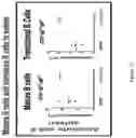 Fig. 08 - NUCLEIC ACIDS ENCODING ANCHOR MODIFIED ANTIBODIES AND USES THEREOF
