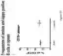 Fig. 11 - NUCLEIC ACIDS ENCODING ANCHOR MODIFIED ANTIBODIES AND USES THEREOF