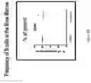Fig. 13 - NUCLEIC ACIDS ENCODING ANCHOR MODIFIED ANTIBODIES AND USES THEREOF