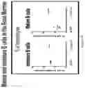 Fig. 17 - NUCLEIC ACIDS ENCODING ANCHOR MODIFIED ANTIBODIES AND USES THEREOF