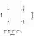 Fig. 20 - NUCLEIC ACIDS ENCODING ANCHOR MODIFIED ANTIBODIES AND USES THEREOF