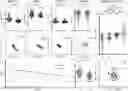 Fig. 01 - Neutralizing anti-SARS-CoV-2 antibodies