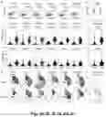 Fig. 03 - Neutralizing anti-SARS-CoV-2 antibodies