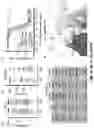 Fig. 05 - Neutralizing anti-SARS-CoV-2 antibodies