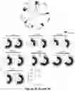 Fig. 09 - Neutralizing anti-SARS-CoV-2 antibodies