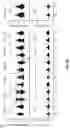 Fig. 12 - Neutralizing anti-SARS-CoV-2 antibodies