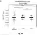 Fig. 13 - Neutralizing anti-SARS-CoV-2 antibodies