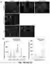 Fig. 20 - Neutralizing anti-SARS-CoV-2 antibodies