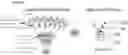 Fig. 01 - PATHOGEN BINDING METHODS AND COMPOSITIONS