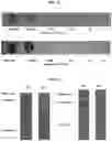 Fig. 12 - PATHOGEN BINDING METHODS AND COMPOSITIONS