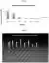 Fig. 19 - PATHOGEN BINDING METHODS AND COMPOSITIONS