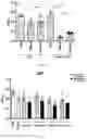 Fig. 11 - ATTENUATION OF BACTERIAL INFECTION