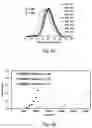 Fig. 14 - Block copolymer structure and the preparing method thereof