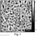 Fig. 02 - AMPHIPHILIC TRIBLOCK COPOLYMER