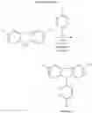 Fig. 36 - Copolymer, electroluminescence device material including copolymer, and electroluminescence device