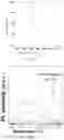 Fig. 04 - Polyvinyl thioether ester, preparation method therefor and use thereof