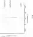 Fig. 09 - Multiblock copolymers of polyolefins and polyesters