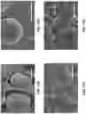 Fig. 20 - Multiblock copolymers of polyolefins and polyesters