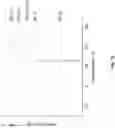Fig. 22 - Multiblock copolymers of polyolefins and polyesters