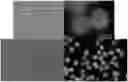 Fig. 01 - Method for producing microparticles