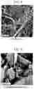 Fig. 03 - RESIN COMPOSITION, RESIN COMPOSITION PRODUCTION METHOD, CELLULOSE FIBER COMPOSITION, REINFORCING MATERIAL, AND MOLDED ARTICLE