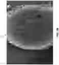 Fig. 04 - Method for fabricating impermeable porous particles