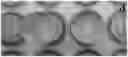 Fig. 01 - Nanocellulose aerogels and foams