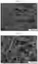 Fig. 23 - Nanocellulose aerogels and foams