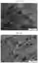 Fig. 24 - Nanocellulose aerogels and foams