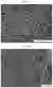 Fig. 25 - Nanocellulose aerogels and foams