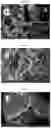 Fig. 40 - Nanocellulose aerogels and foams