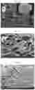 Fig. 41 - Nanocellulose aerogels and foams