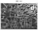 Fig. 43 - Nanocellulose aerogels and foams