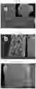 Fig. 49 - Nanocellulose aerogels and foams