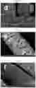 Fig. 50 - Nanocellulose aerogels and foams