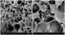 Fig. 01 - POLYETHYLENE COPOLYMERS AND TERPOLYMERS FOR SHOES AND METHODS THEREOF