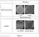 Fig. 06 - Germ-repellent silicone rubber and preparation method and application thereof