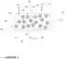 Fig. 02 - NAIL SEALABLE MATERIALS, SYSTEMS, AND METHODS OF MAKING AND INSTALLING THE SAME