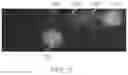 Fig. 05 - Near infrared reflective copper oxide coated particles