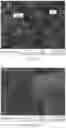 Fig. 09 - Near infrared reflective copper oxide coated particles