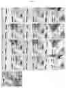 Fig. 11 - A Multi-Layered Coating